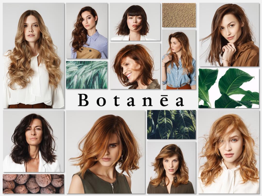 Peluqueria Mieres Asturias tinte natural vegetal botanea